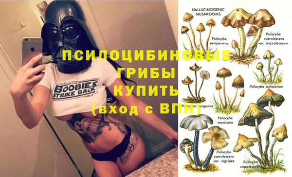 мяу мяу кристалл Баксан